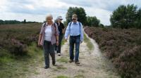 Wanderung in der L�neburger Heide