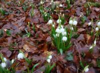 Wanderung zu den M�rzenbecher