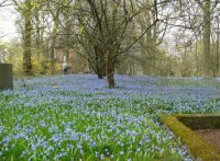 Wanderung zur Scillabl�te