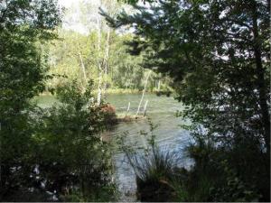Rund um den Altwarmb�chener See