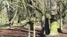M�hlenmuseum Gifhorn