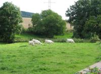 Wanderung zu den M�rzenbecher