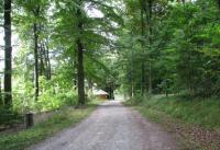 Wanderung zu den M�rzenbecher