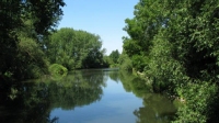 Leine, Ricklinger Teiche, Leineinsel D�hren